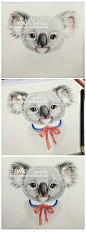 彩铅动物-考拉   最近一时兴起，画了一组彩铅动物，过过手瘾   作者： WiKi   @ 李子红红
http://weibo.com/2036503070