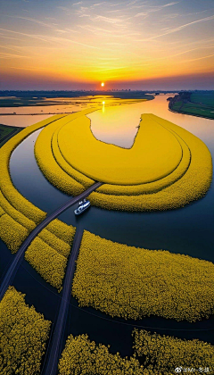 樊非凡采集到景