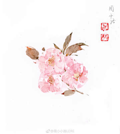 桃山采集到周小小洛LORE