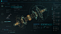 FUI - Echo / Film Screen Graphics : My latest FUI project. F-User Interfaces (the F can mean, Fantasy, Fictional, Fake, Film, FutureFour screens created. Took inspiration from UI work in Avengers Age of Ultron. I started of creating a Hero element and bui