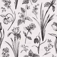 花纹,纺织品,壁纸,植物群,自然美,风信子,植物,复古,绘制,花