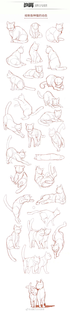 用户ASVB2hwU采集到猫