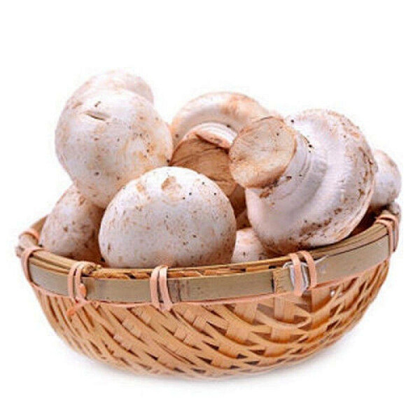 【现摘 新鲜蘑菇 菌菇类】蘑菇 口蘑 洋蘑菇 双孢菇 新鲜时令蔬菜 3斤精品双孢菇【价格、品牌、报价】-1号店