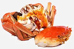蟹黄大闸蟹高清素材 一只 卡通 大闸蟹 手绘 简图 蟹钳 蟹黄 金黄色的 元素 免抠png 设计图片 免费下载