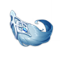 UI_ItemIcon_113006