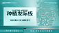 医美植发养发头图banner