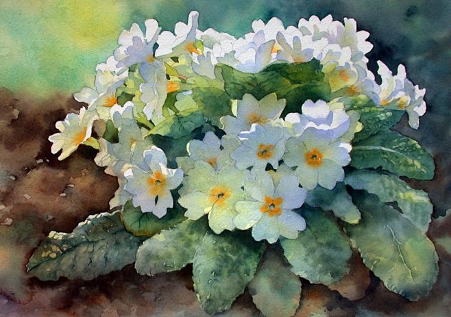 Ann Mortimer.. : Chr...