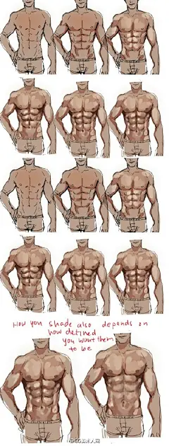 #绘画参考#腹肌的绘制技法参考~