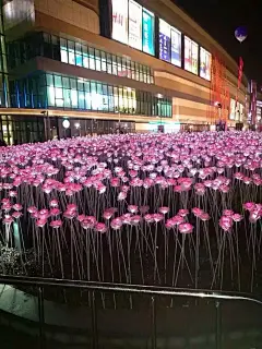 夜光玫瑰花海
