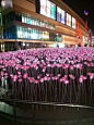 夜光玫瑰花海