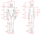 人体结构造型的塑造难点，人体比例？-资讯-蓝铅笔