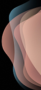 This contains an image of