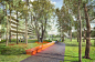 阿迪达斯全球总部新园区扩建，德国 / LOLA Landscape Architects : 色彩鲜艳的星星纽带