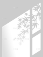 特效系列写实窗户+植物光影元素
