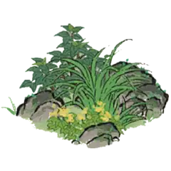 乱石灌木