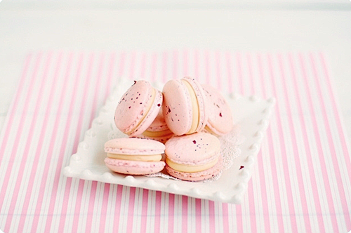 Rose Macarons (by | ...