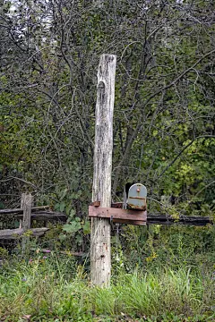 乡村公路旁的一个旧信箱