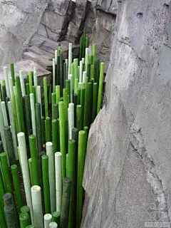 德国伍珀塔尔动物园景观-德国伍珀塔尔动物园景观第9张图片