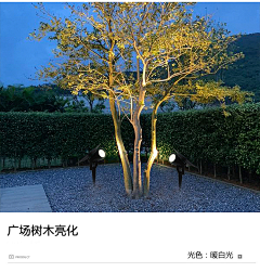 曦已有采集到射树灯