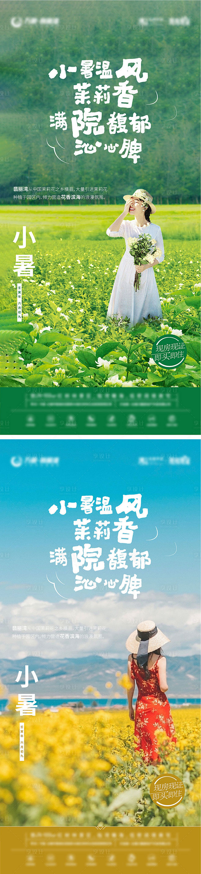 小暑节气海报