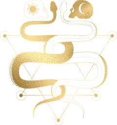 torrin采集到花纹