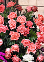 色彩鲜艳的粉红色玫瑰花束装饰与绿色的蕨类植物的背景