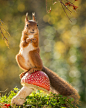 say cheese by Geert Weggen on 500px