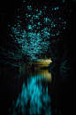 Glow Worms Turn New Zealand Cave Into Starry Night And I Spent Past Year Photographing It (Part 2) | Bored Panda