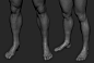 Leg Zbrush, Andrey Gritsuk : Hi Friends! 
I made a foot, I hope you will be useful in your work
https://gum.co/fssIXW
https://www.cgtrader.com/3d-models/character/man/leg-zbrush-sculpt