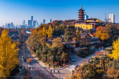 长夏清平采集到杂
