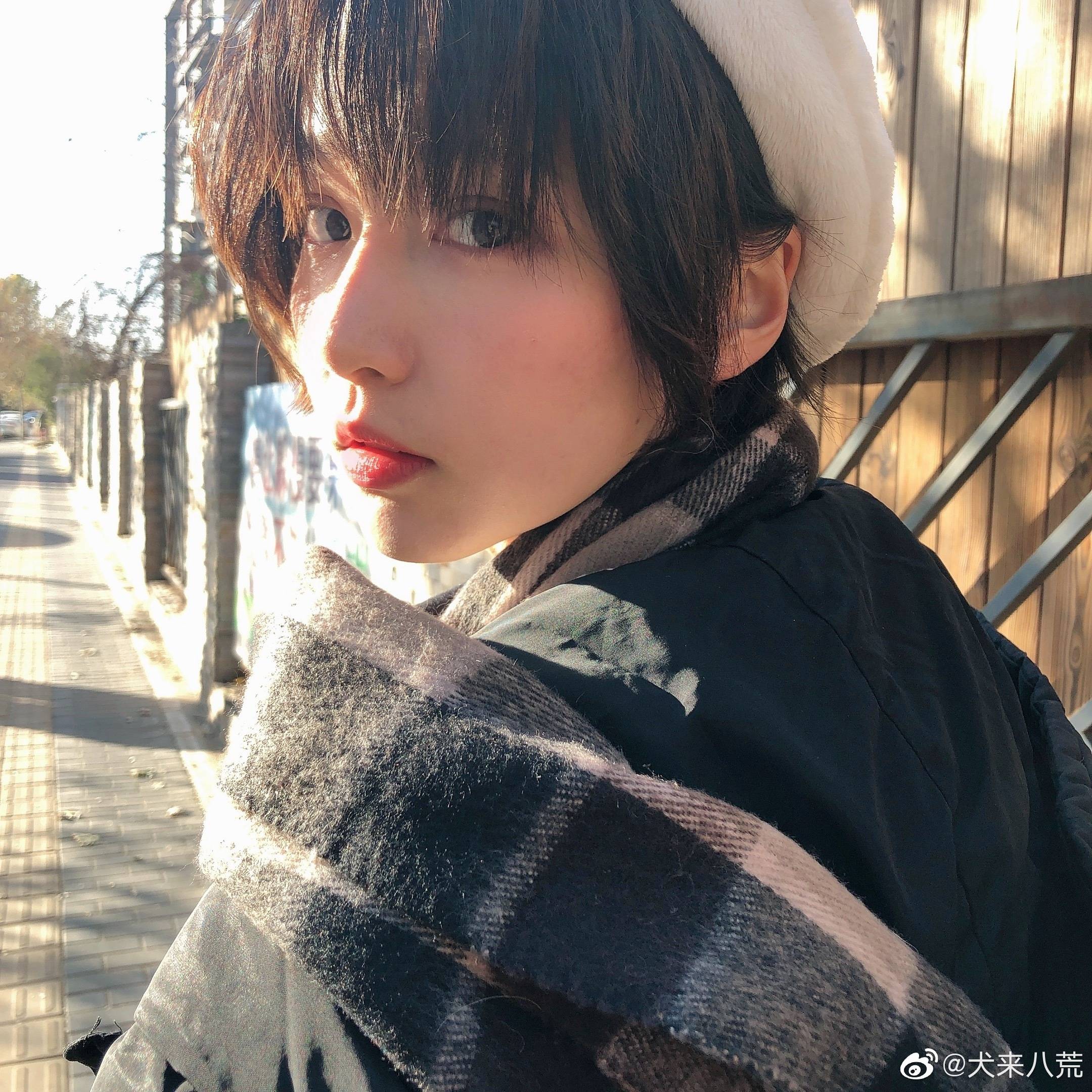 诸葛大力--成果