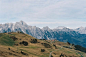 Green Open Field Viewing Mountain Under Blue and White Skie