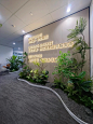 办公室LOGO背景墙植物造景，看过来！_1_王念｜空间装置&造景_来自小红书网页版