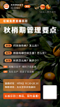 直播海报  社群  推广 创意 农业 天天学农 柑橘