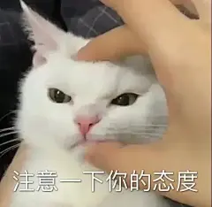 沙雕表情包 随便拿！！！#表情包 #发给对象表情包 #沙雕表 - 抖音