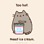 Pusheen the cat