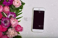 美丽的花卉背景和绿叶，纹理，壁纸。平铺的粉色花与智能手机在灰色背景，俯视图，拷贝空间