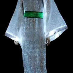 fiber optic dress... apart from the cool technology, i really love the way this dress looks... its kind of surreal, and elegant, flows beautifully jjdress.net