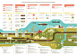 Infographicsmag - Инфографика о государственных программах