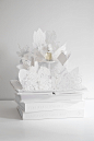 Le Parfum – Claus Porto : A popup book to display the new Claus Porto perfume. 
