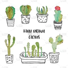 仙人掌,动物手,可爱的,花盆,植物群,沙漠,植物,绘制,复古,花