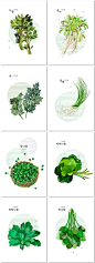 8张新鲜春季手绘绿色自然草本植物蔬菜绘画插画海报psd模板素材设计