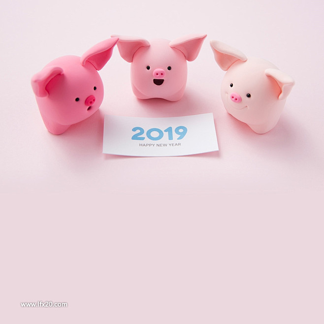 高清猪年新年卡通插画JPG图片素材