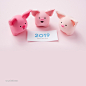 高清猪年新年卡通插画JPG图片素材