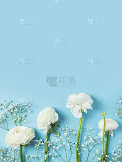 蓝色时尚，鲜花平铺背景