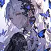 可商素材 | 蝴蝶之梦_7_Super雾_来自小红书网页版