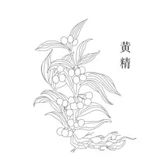 黄精装饰画 - 源文件下载【酷图网】手绘,黑白,中药,黄精,装饰画,-花瓣网