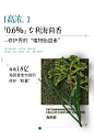 花酿海茴香修护精华液面部重塑肌肤屏障舒缓退红去黄提亮面部精华-tmall.com天猫