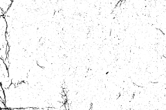 汐慧子采集到文字素材
