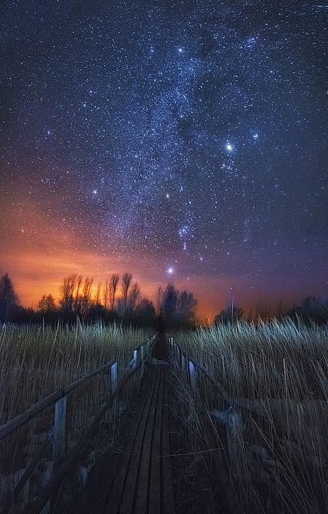 星空下的伤感唯美图_百度图片搜索